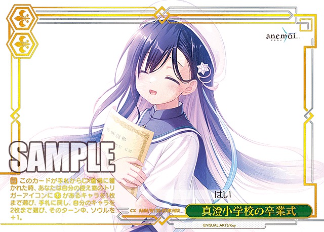 真澄小学校の卒業式 (RRR) 【ANM/W138-050RRR】